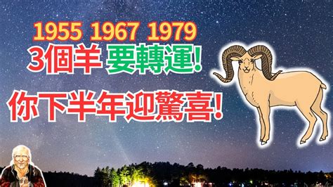 1955屬什麼|1955年属羊是什么命，55年出生五行属什么